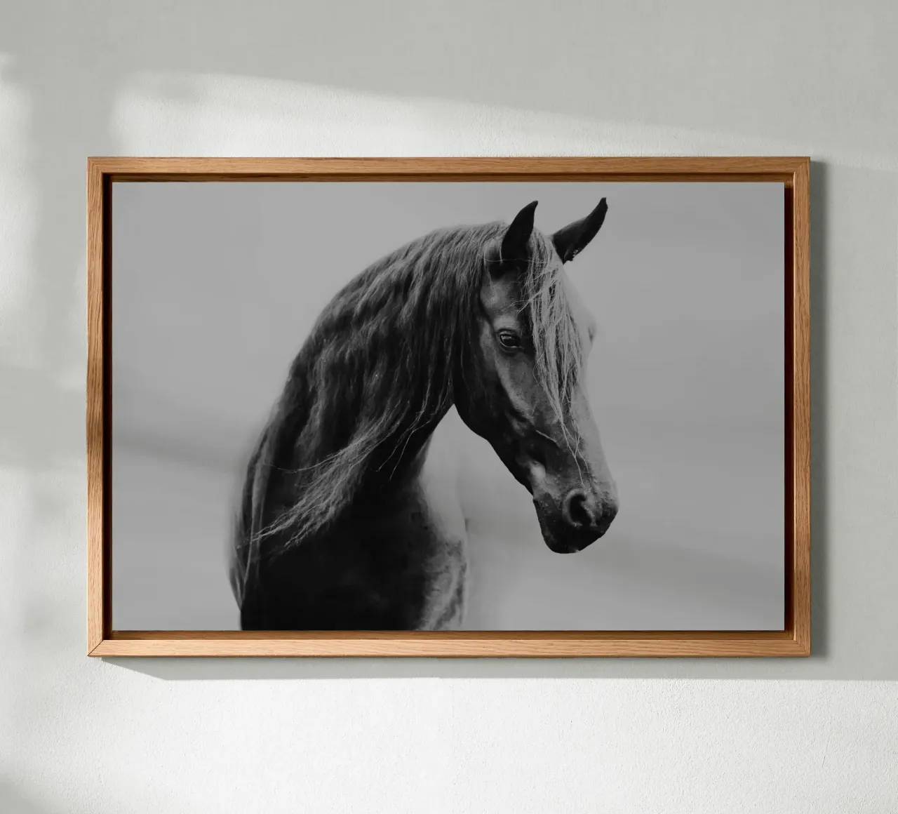 Through the fog | Horse shapes-Kollektion alluminio dibond da unequinesouls