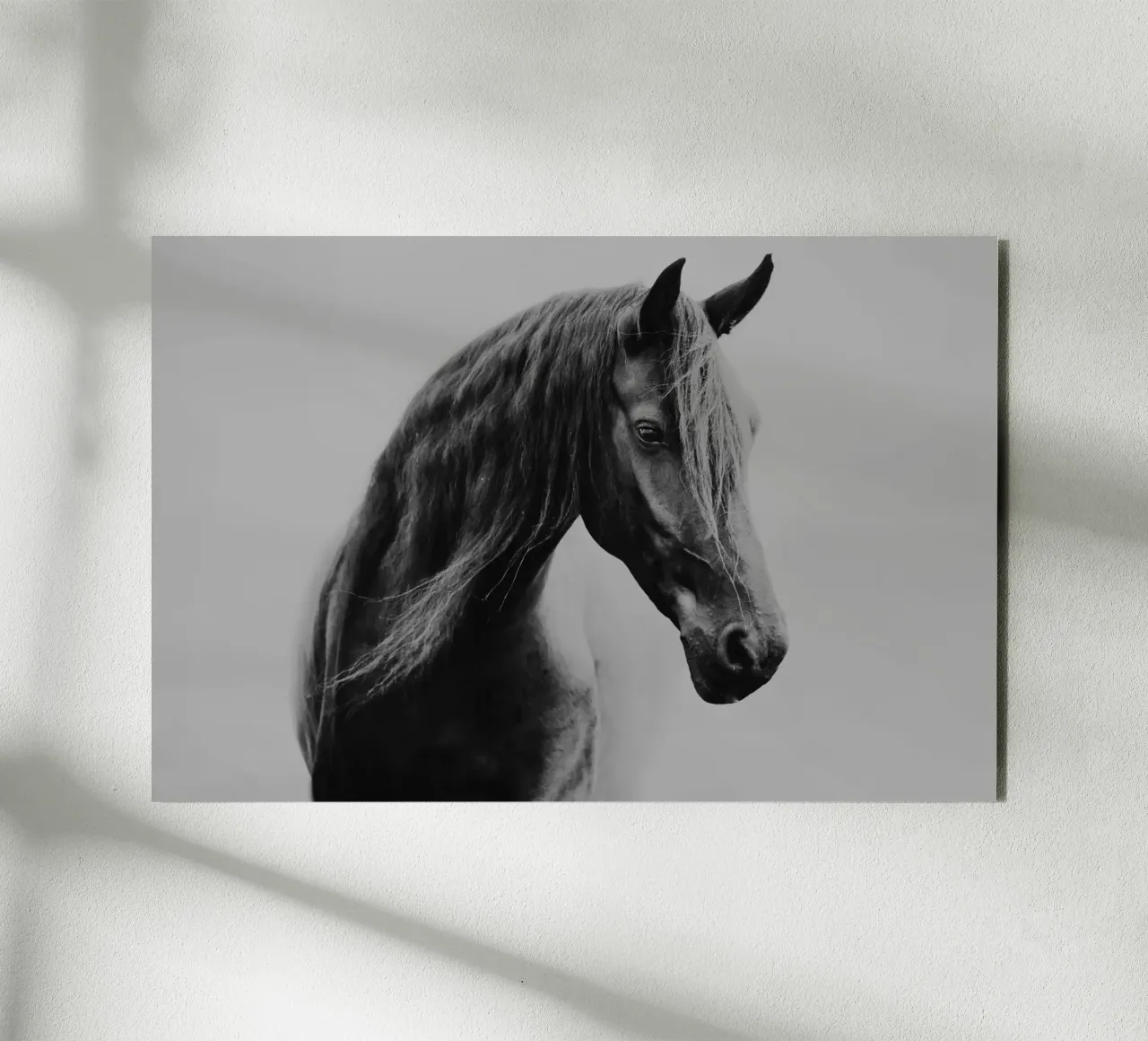 Through the fog | Horse shapes-Kollektion alluminio dibond da unequinesouls