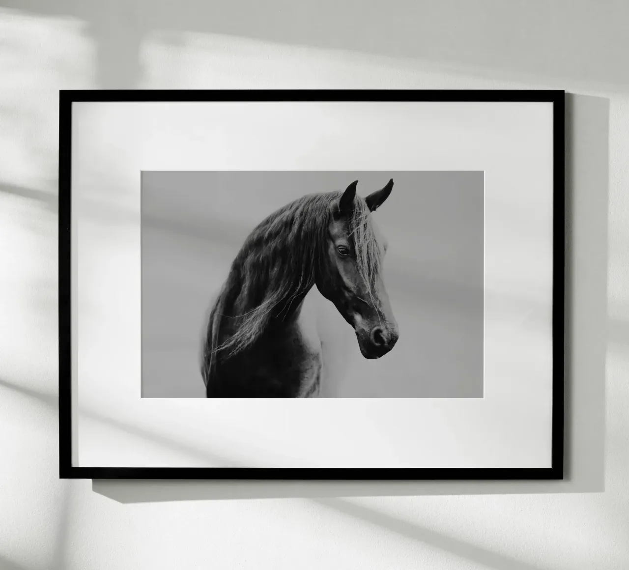Through the fog | Horse shapes-Kollektion carta hahnemühle da unequinesouls