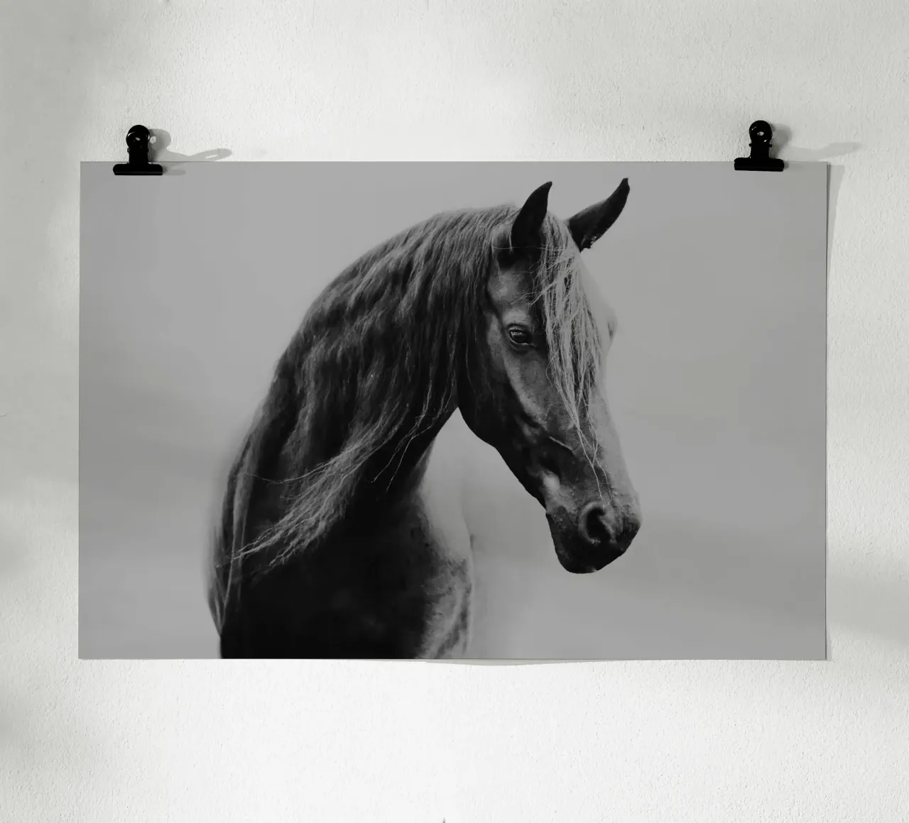 Through the fog | Horse shapes-Kollektion carta hahnemühle da unequinesouls