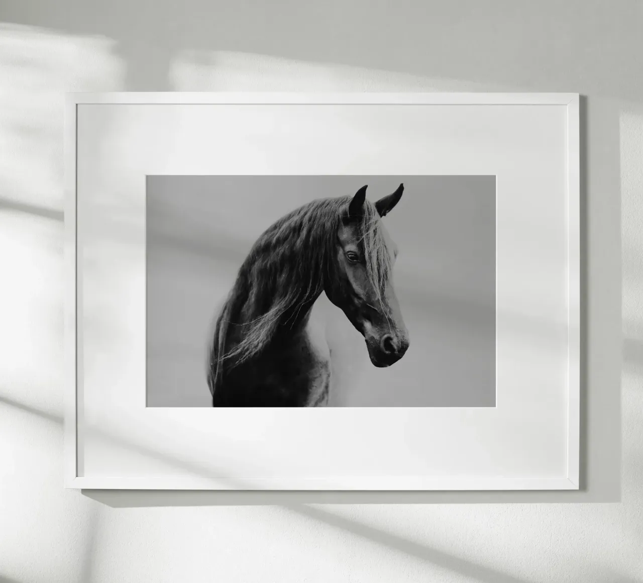 Through the fog | Horse shapes-Kollektion carta hahnemühle da unequinesouls