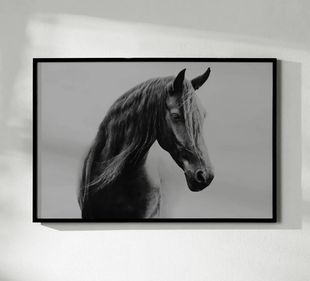 Through the fog | Horse shapes-Kollektion carta hahnemühle da unequinesouls