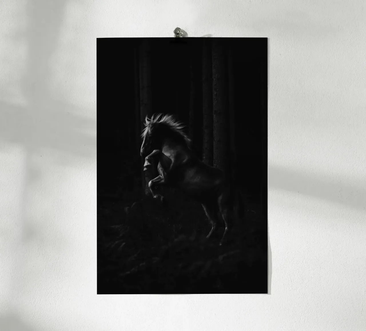 Out of the dark | Horse shapes-Kollektion carta hahnemühle da unequinesouls