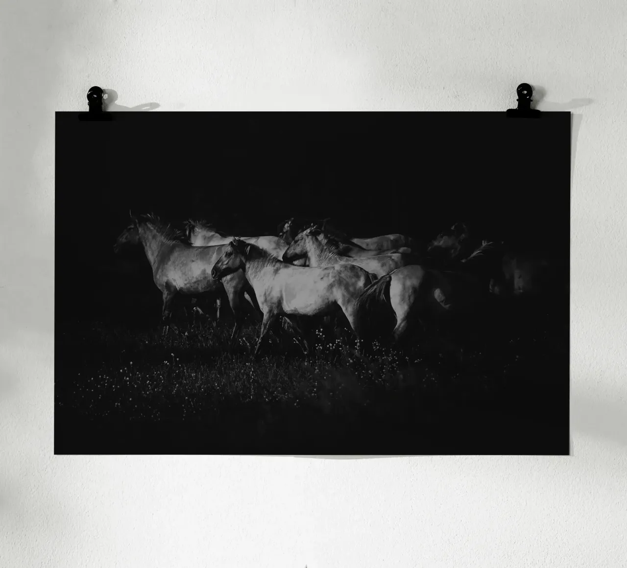 Cohesion | Wild guardians-Kollektion carta hahnemühle da unequinesouls