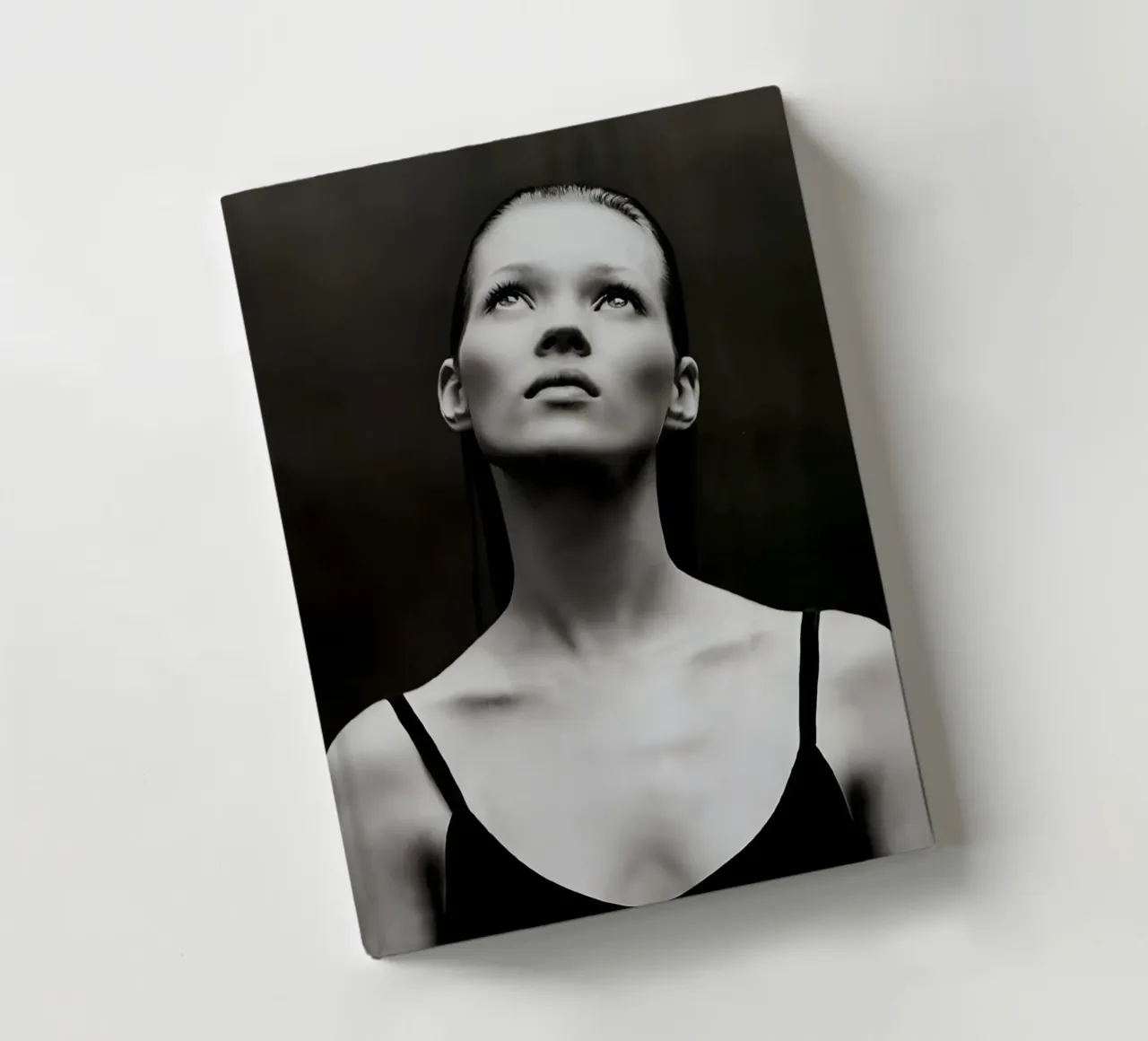 Ascent of Gaze notebook by vintage singer