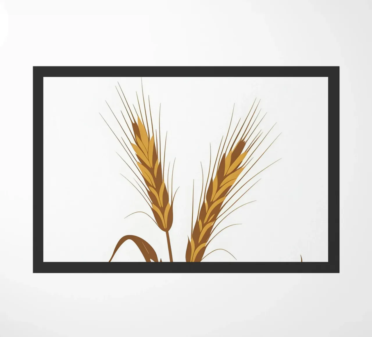 Gambo di segale zerbino da Botanical Gallery