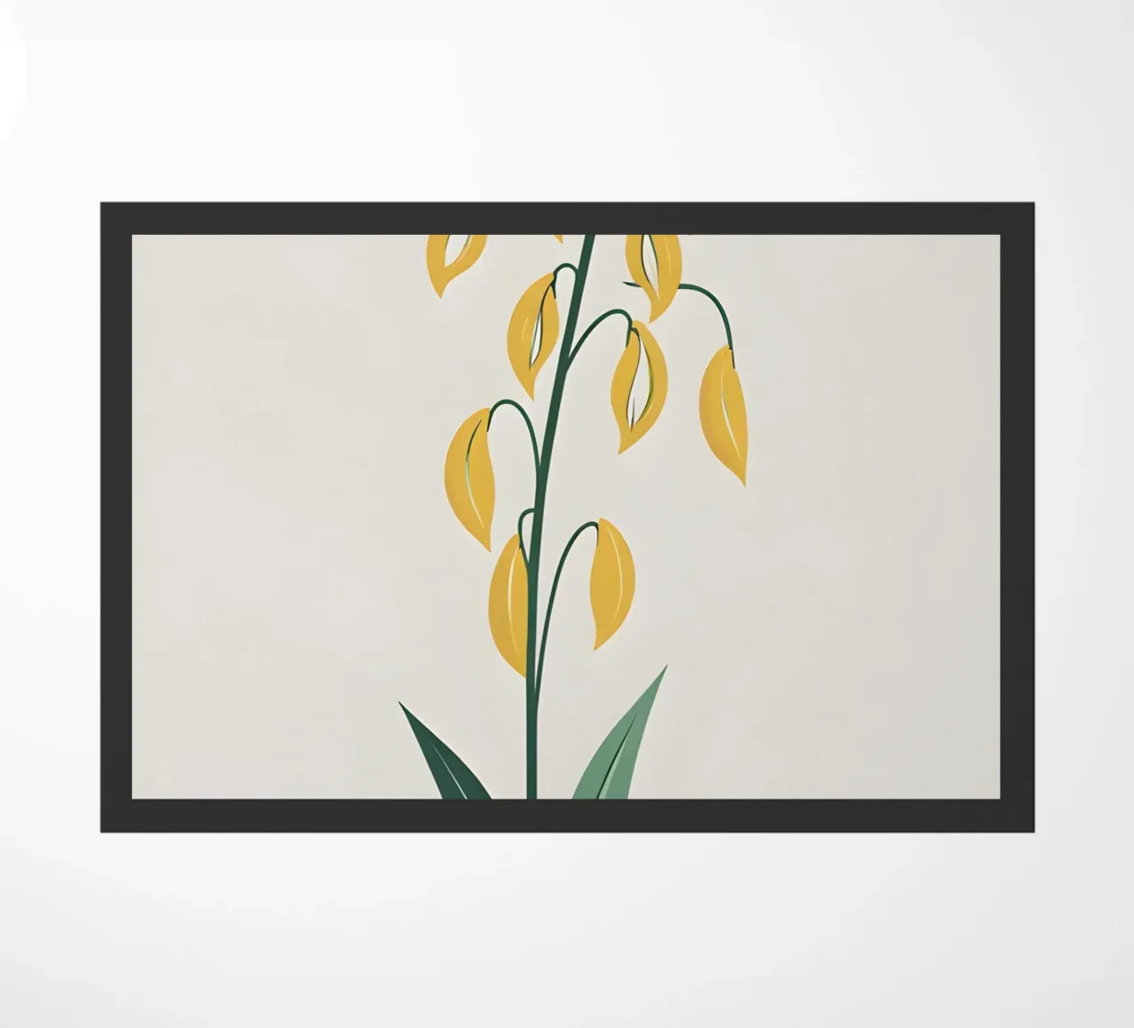 Gambo d'avena zerbino da Botanical Gallery
