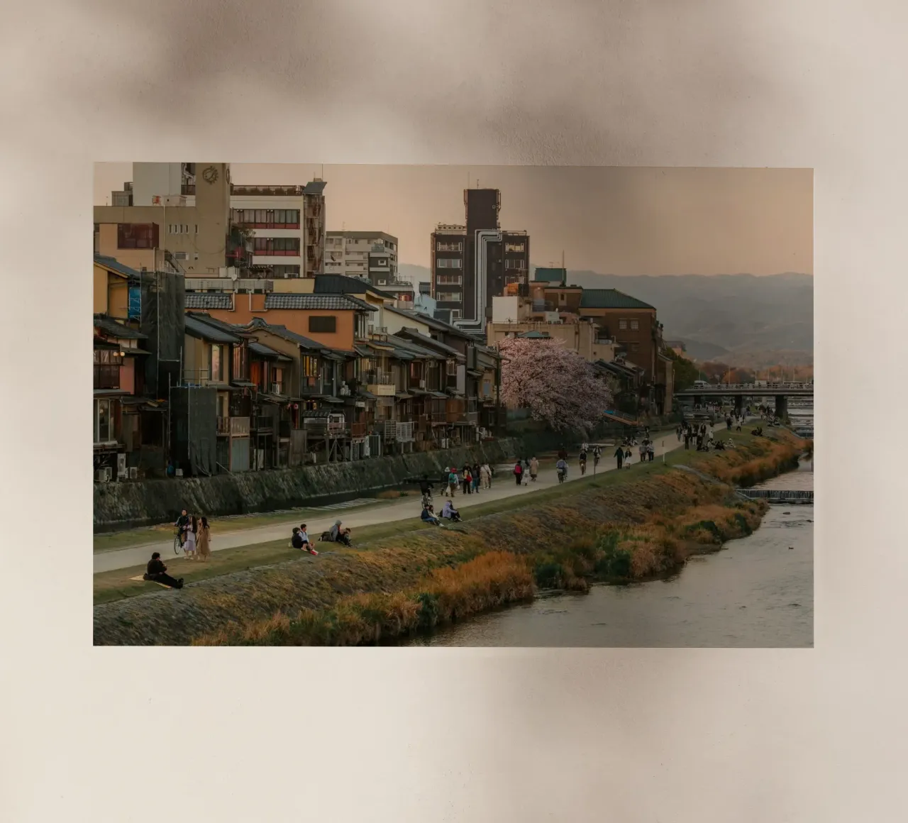 Tramonto sul fiume Kamo a Kyoto pellicola backlit da mbgraphx2