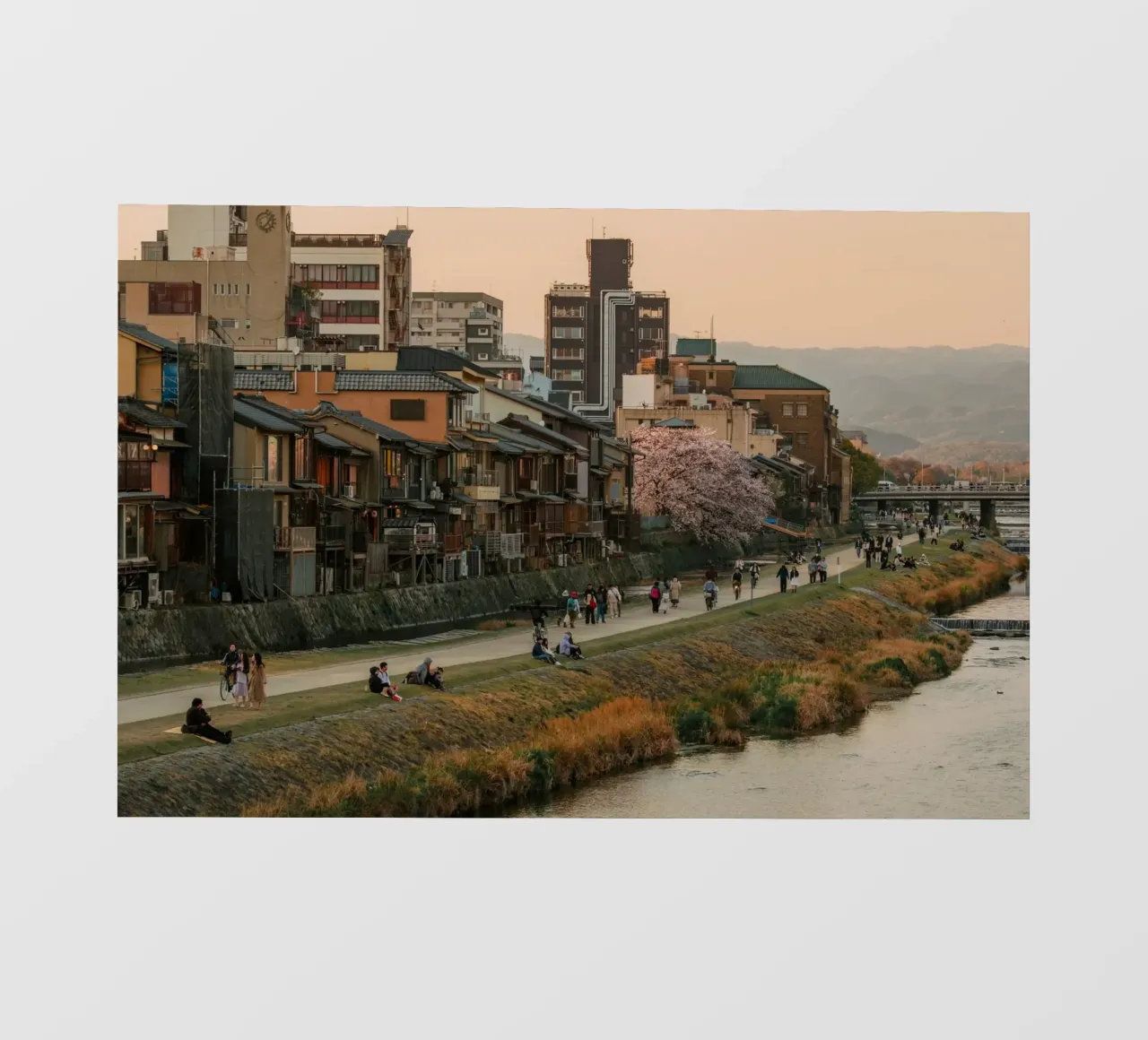 Tramonto sul fiume Kamo a Kyoto pellicola backlit da mbgraphx2