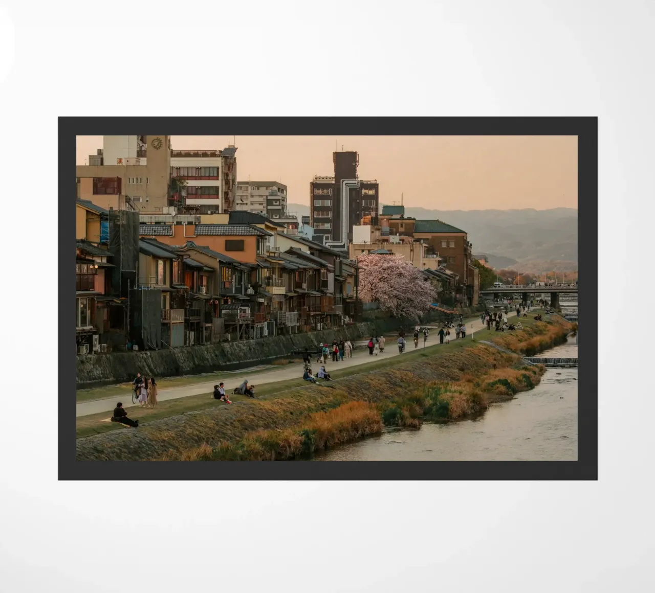Tramonto sul fiume Kamo a Kyoto zerbino da mbgraphx2