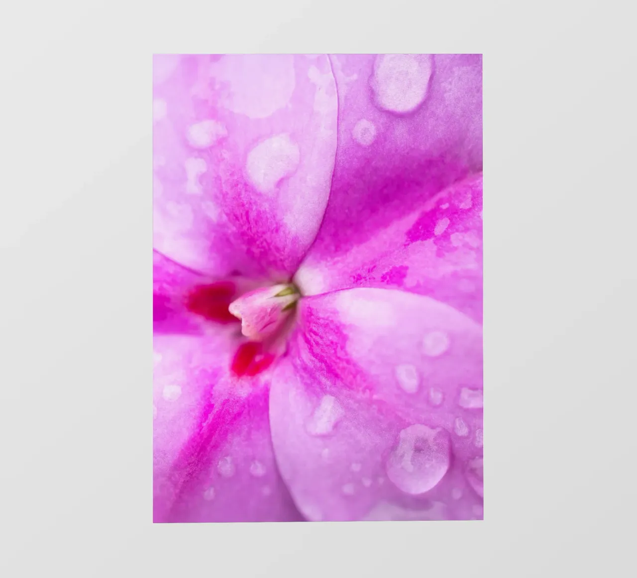 Flora #17 telo in pvc da rafael campezato