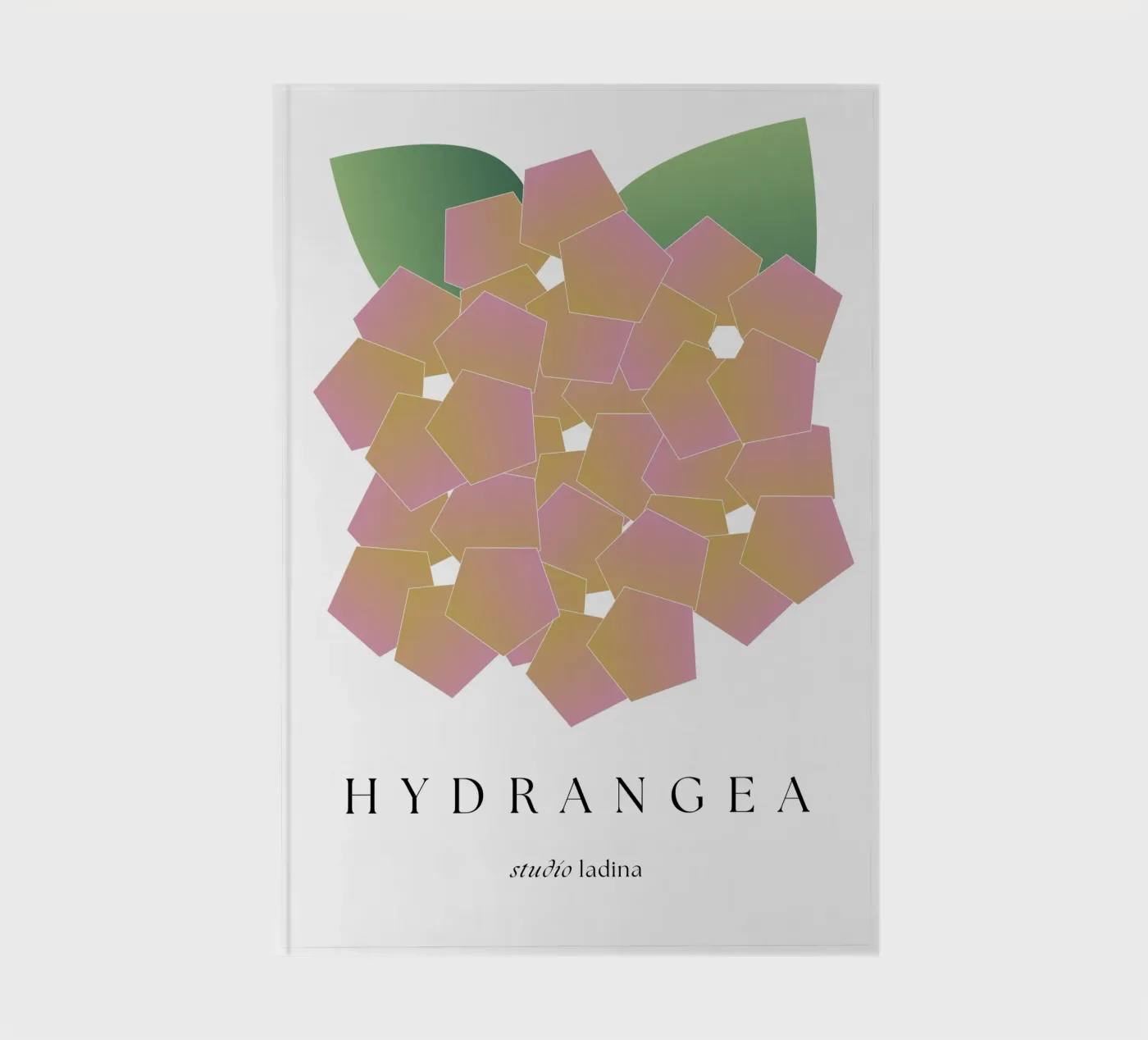 IDRANEA quaderno da studio.ladina