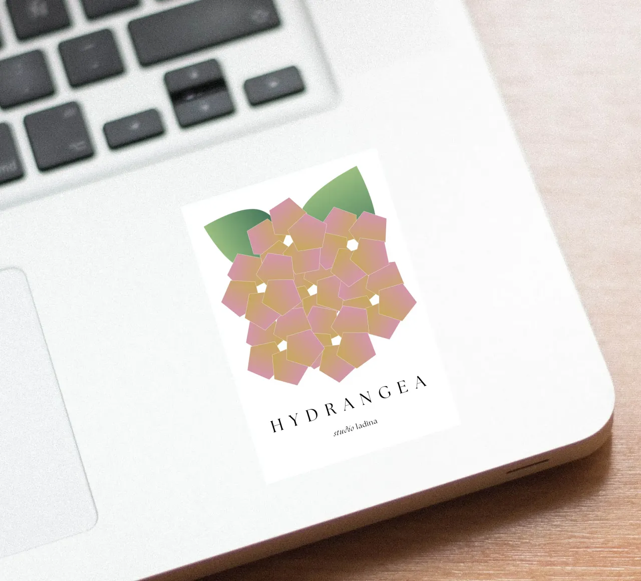 HYDRANGEA sticker by studio.ladina