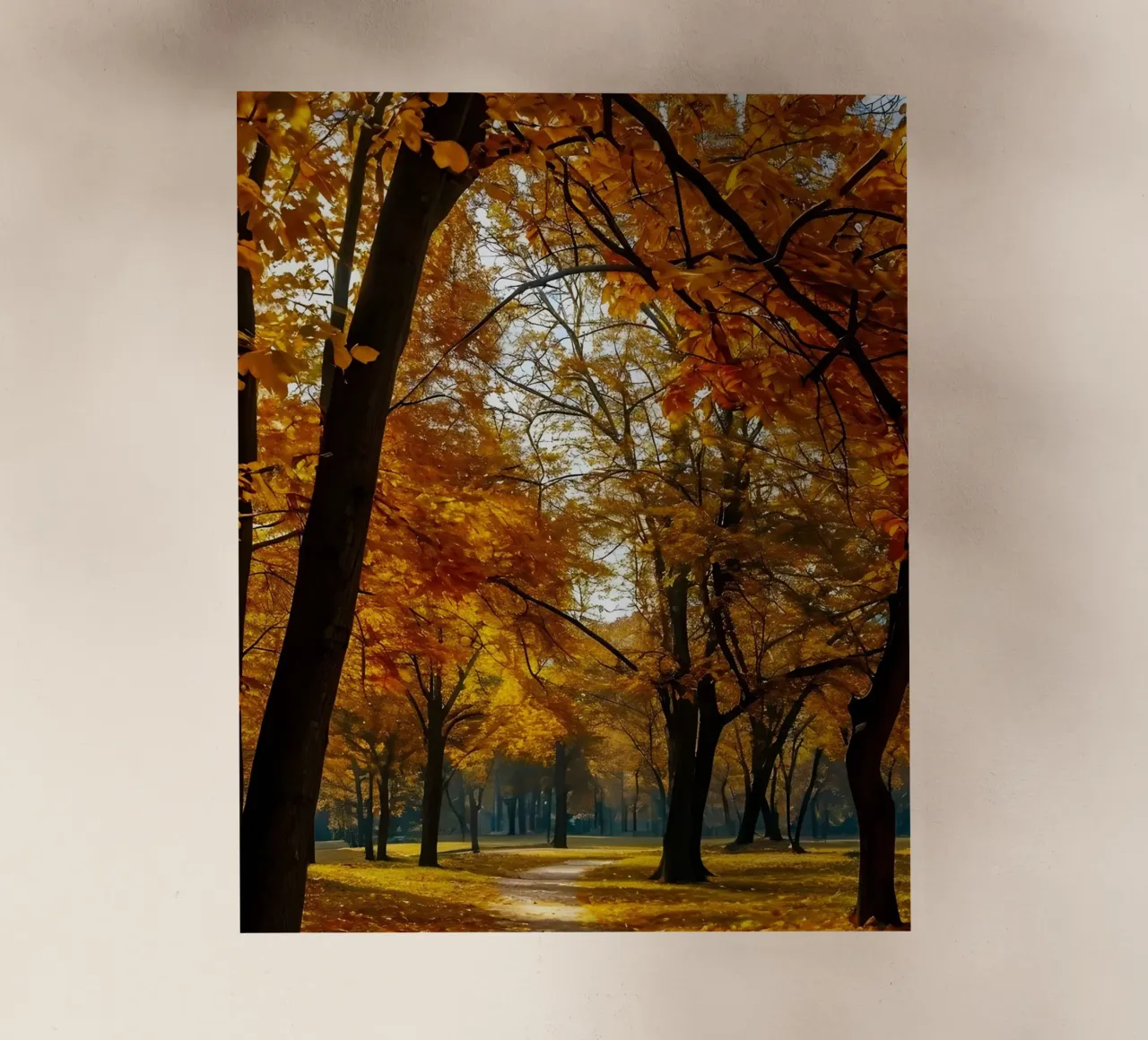Arco d'autunno pellicola backlit da Pixel Boy