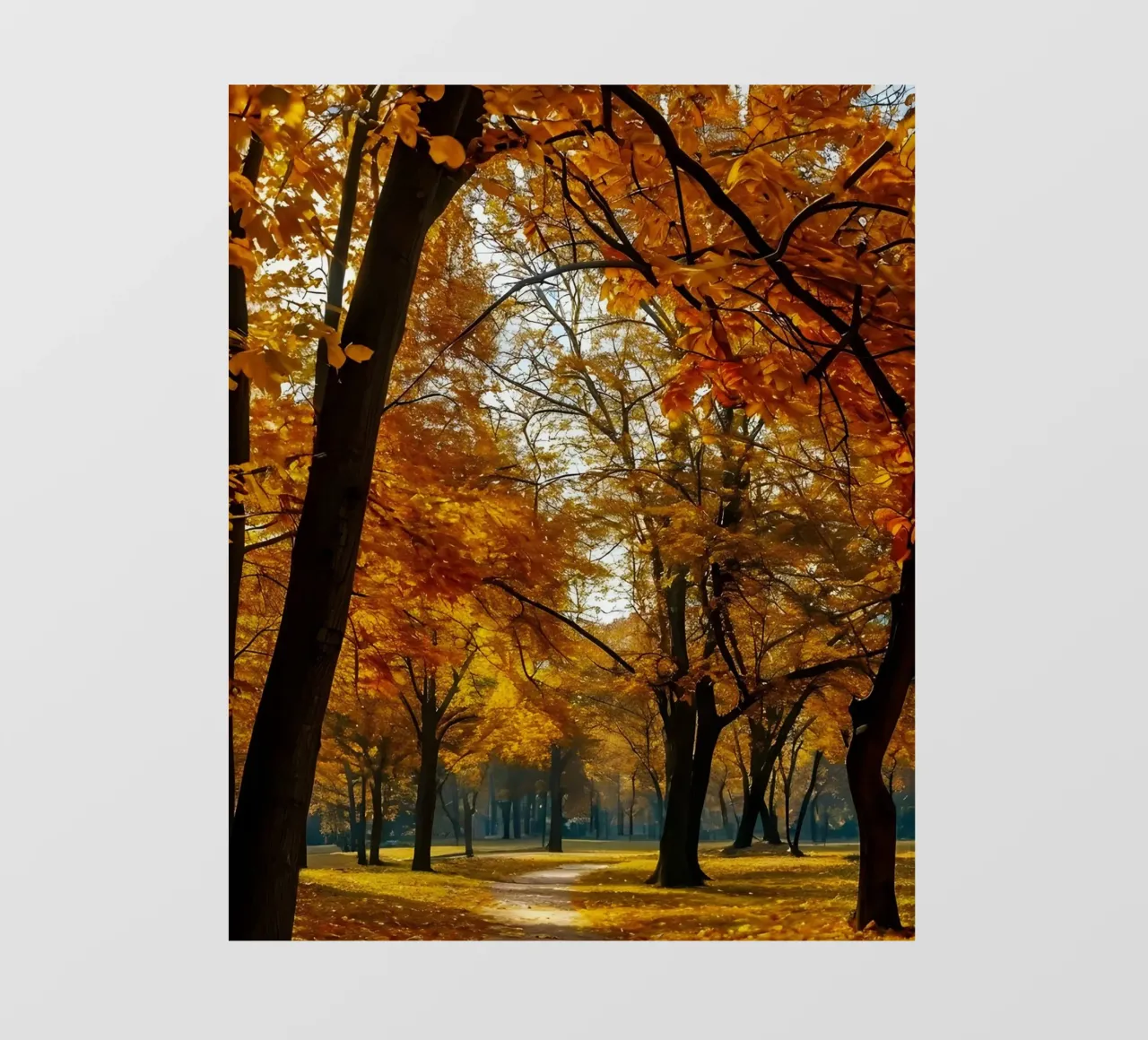 Arco d'autunno pellicola backlit da Pixel Boy