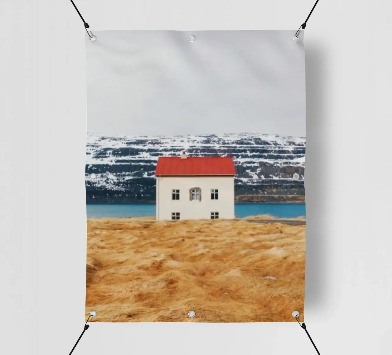 potrait home telo in pvc da scoten