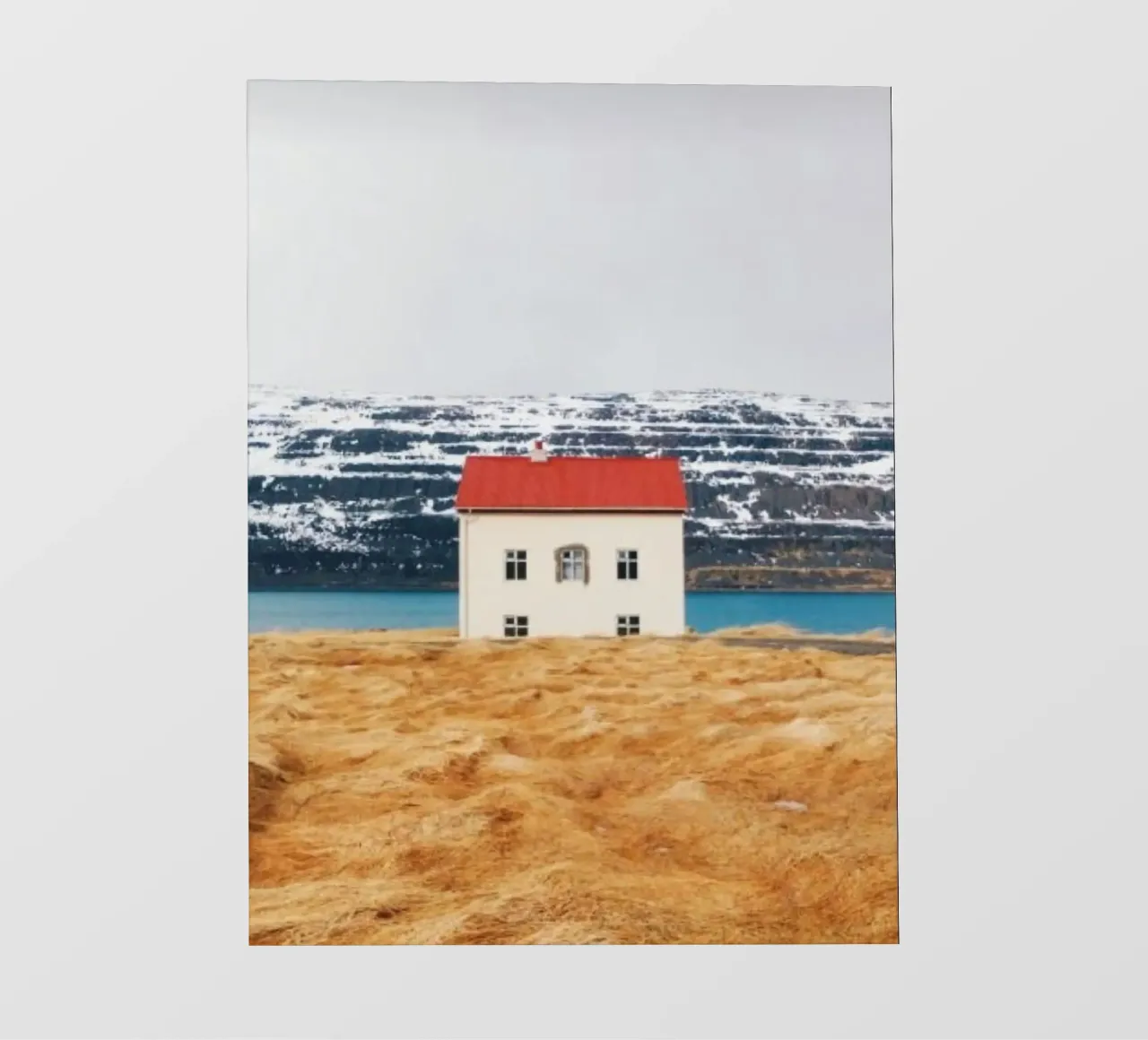 potrait home telo in pvc da scoten