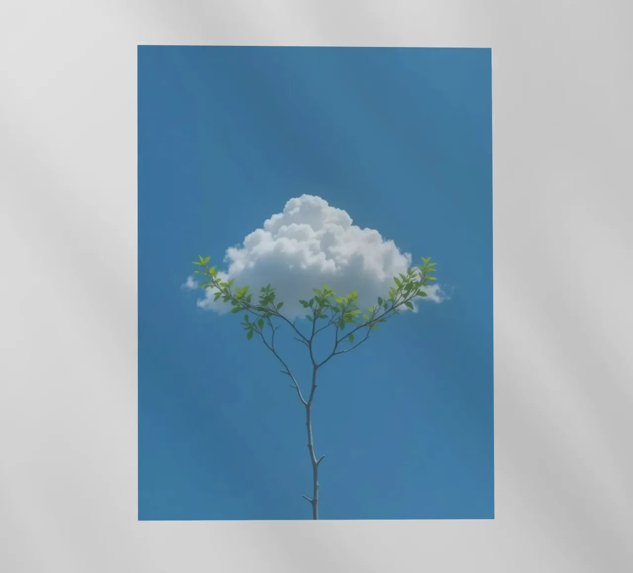 branch cloud pellicola backlit da scoten