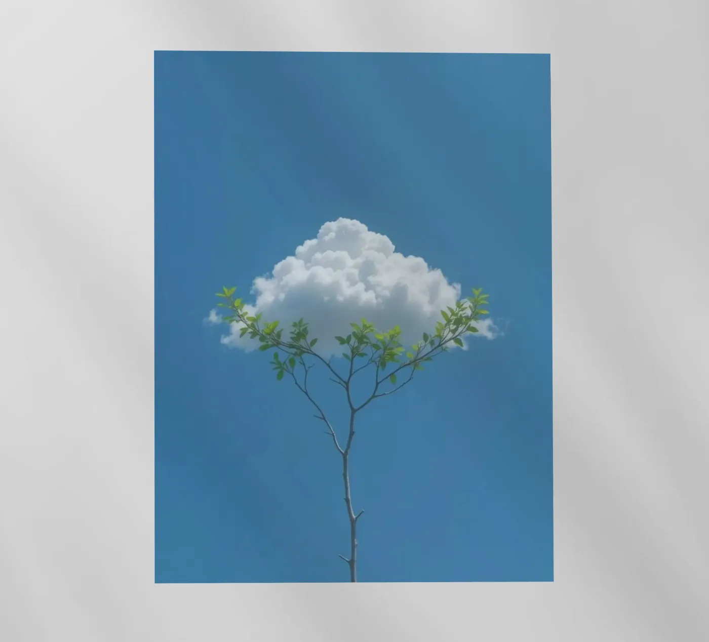 branch cloud pellicola backlit da scoten