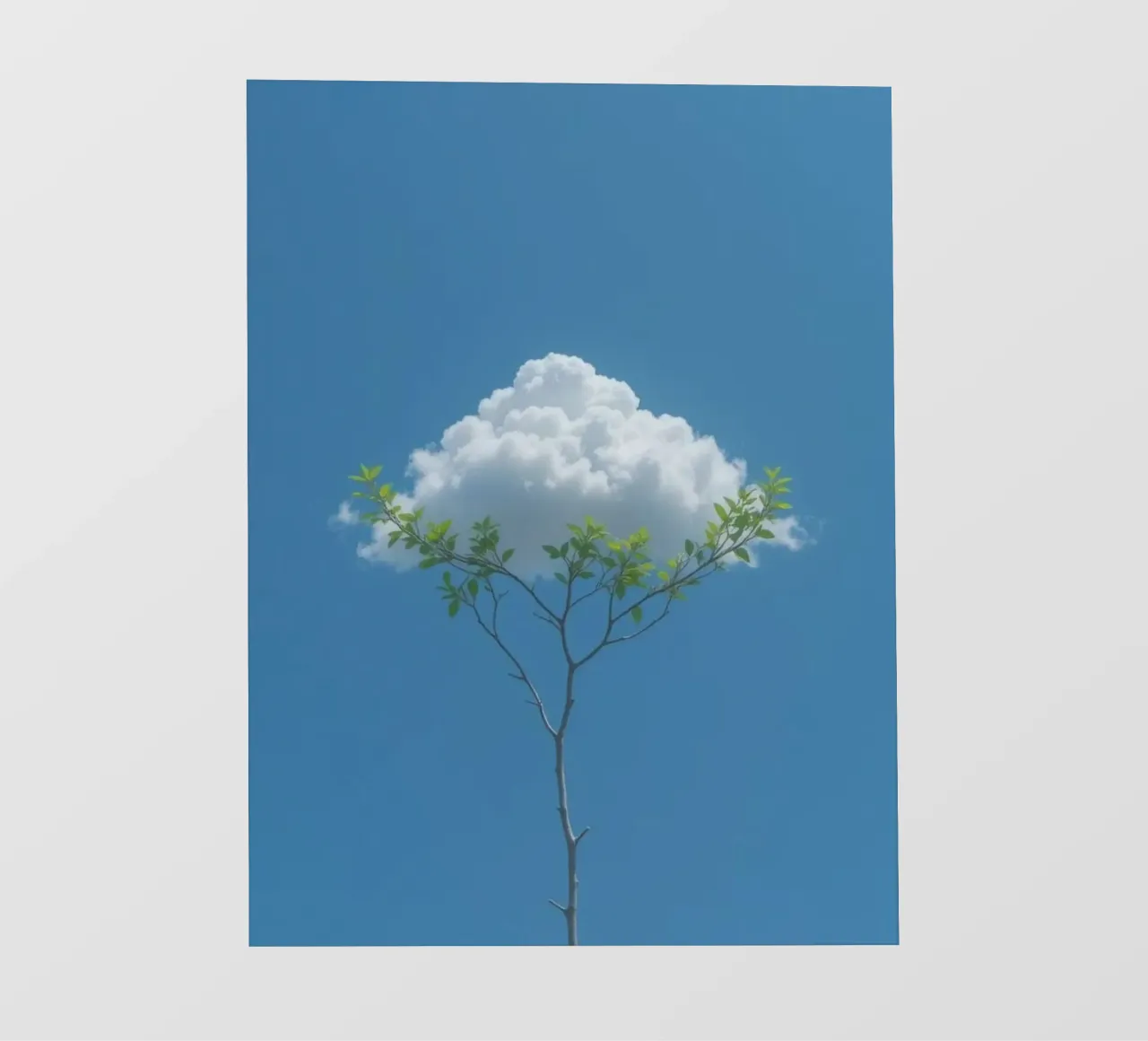 branch cloud pellicola backlit da scoten