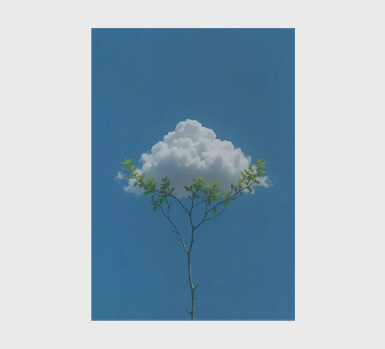 branch cloud diario da scoten