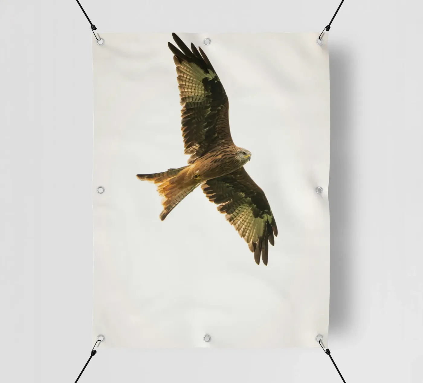 flying eagle bâche pvc de juli