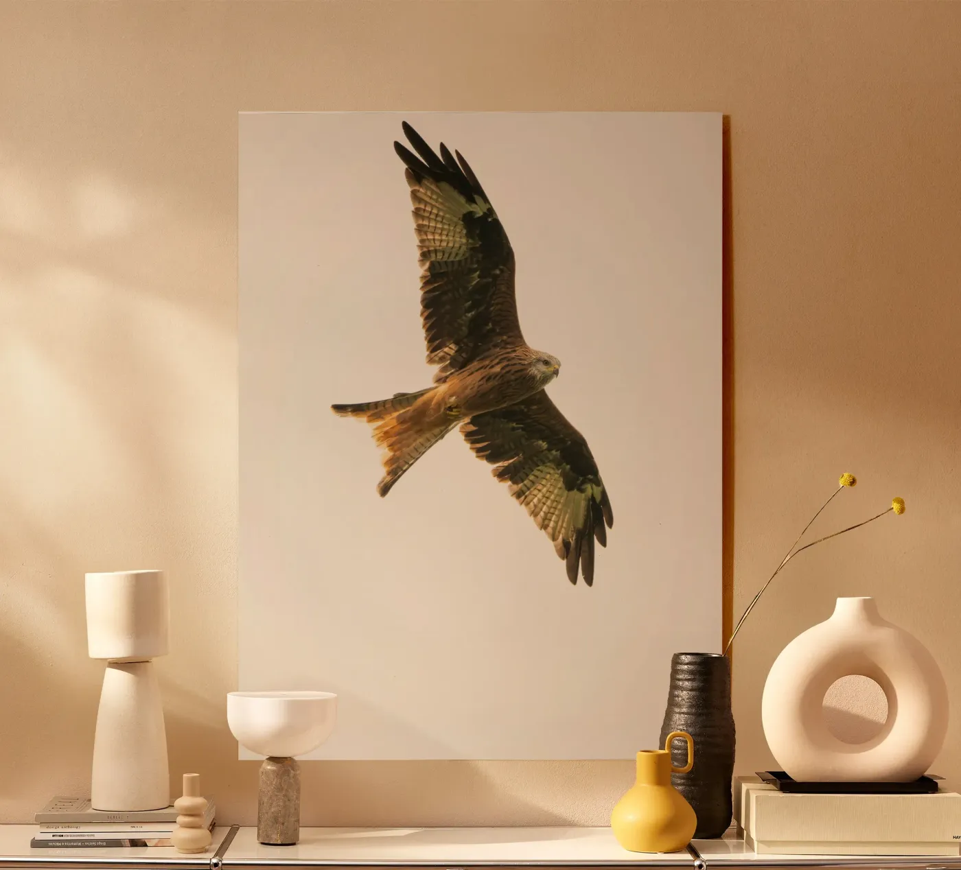 flying eagle plexiglas de juli
