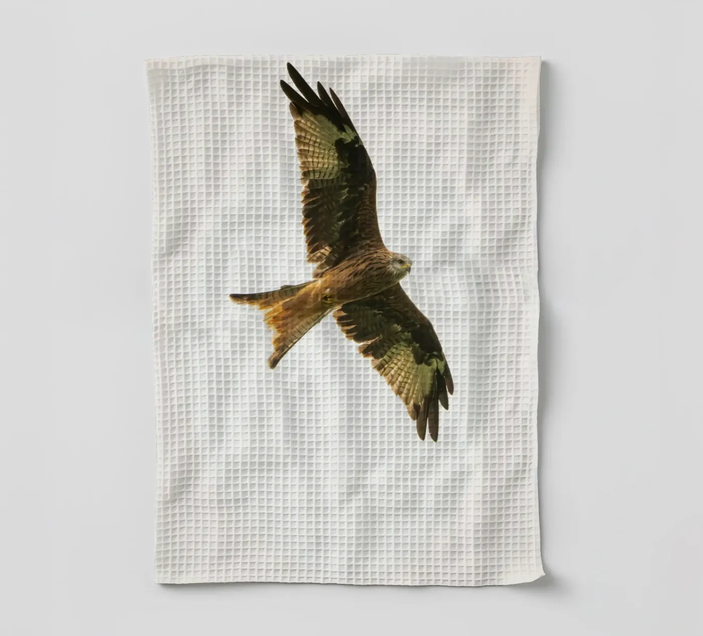 flying eagle torchon de juli