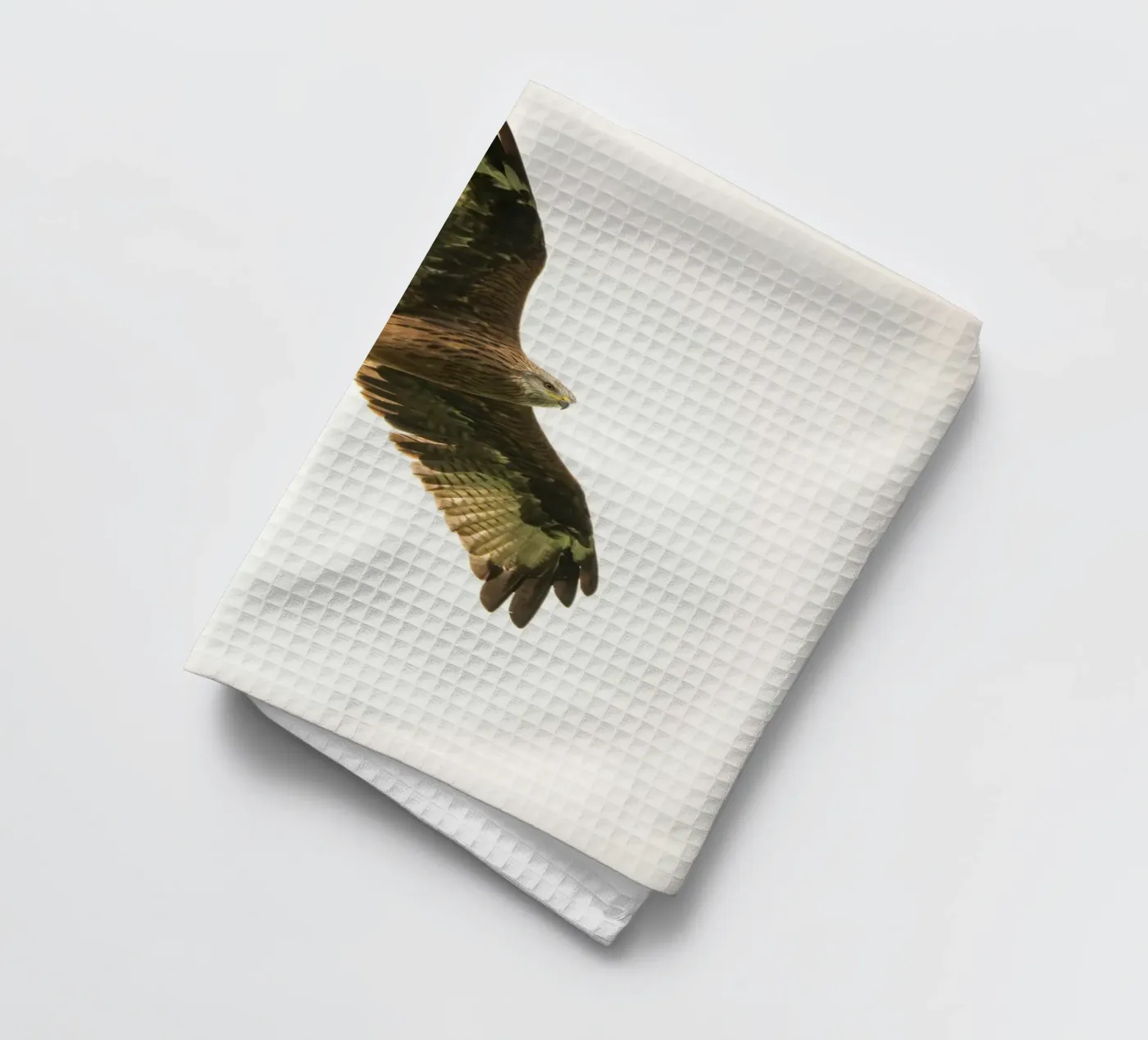 flying eagle torchon de juli