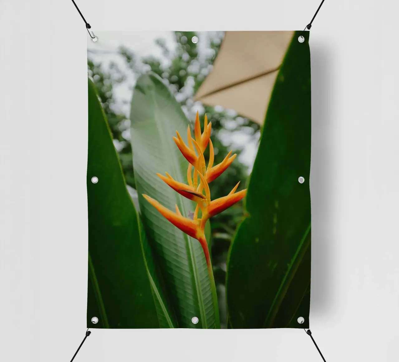 flower in leaf telo in pvc da juli