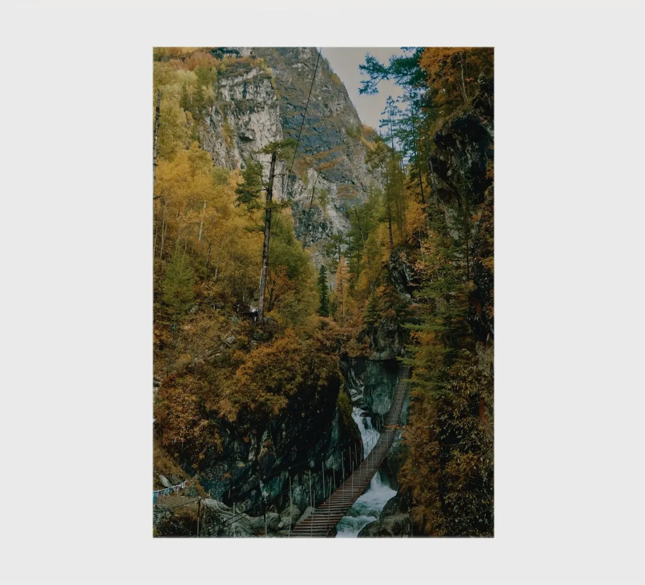 bridge flow in forest carnet de notes de juli