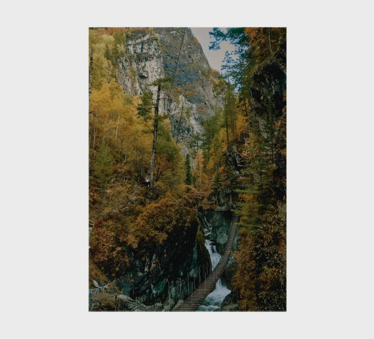 bridge flow in forest carnet de notes de juli