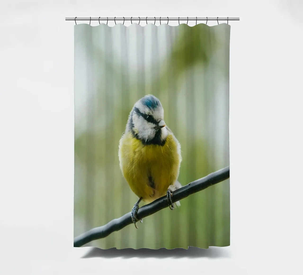 bird on the branch Duschvorhang von juli
