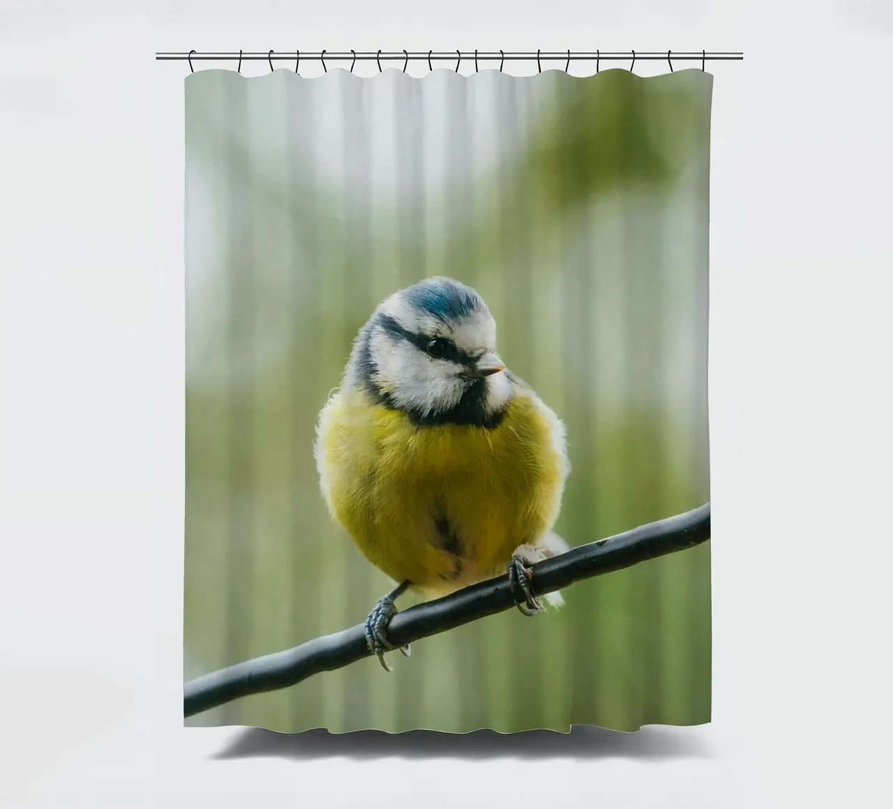 bird on the branch Duschvorhang von juli