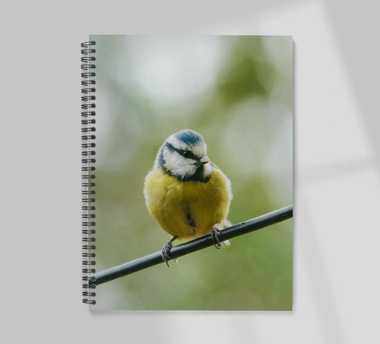 bird on the branch diario ad anelli da juli