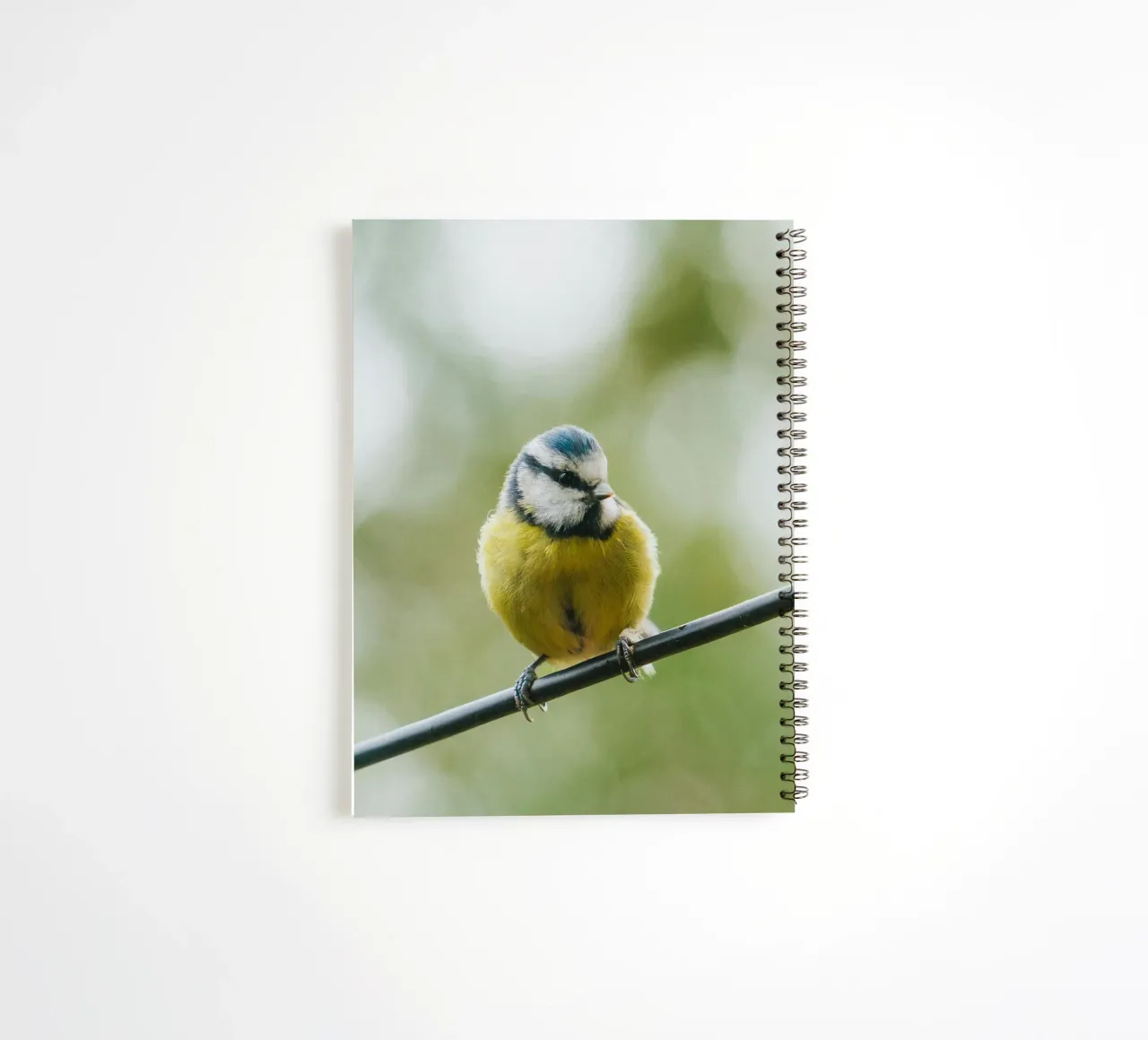 bird on the branch diario ad anelli da juli