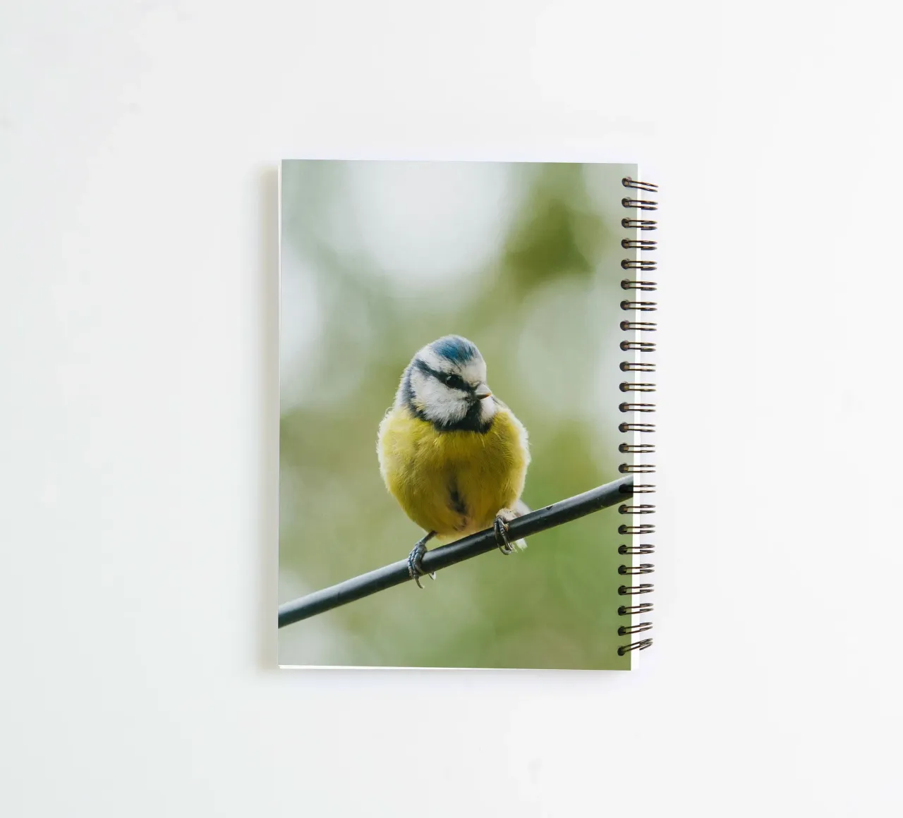 bird on the branch diario ad anelli da juli