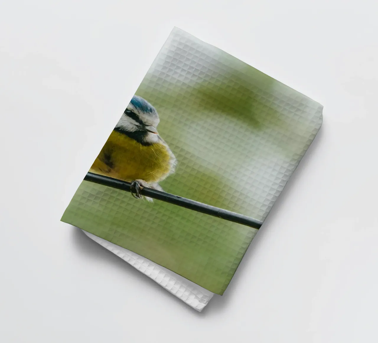 bird on the branch tea towel by juli
