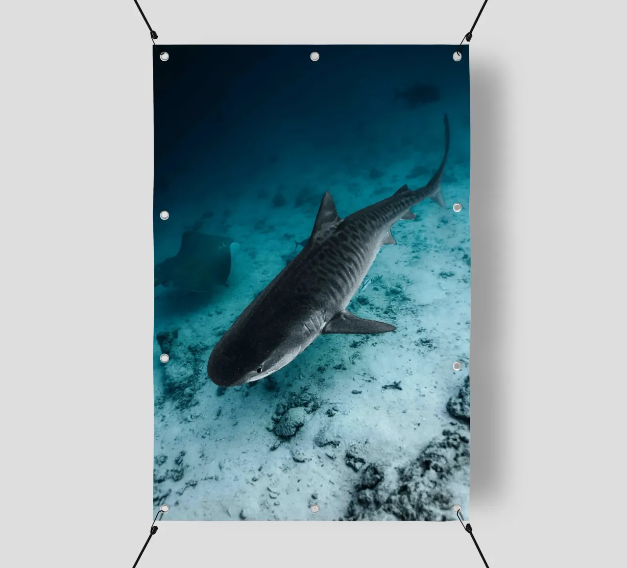 shark inside the ocean telo in pvc da juli