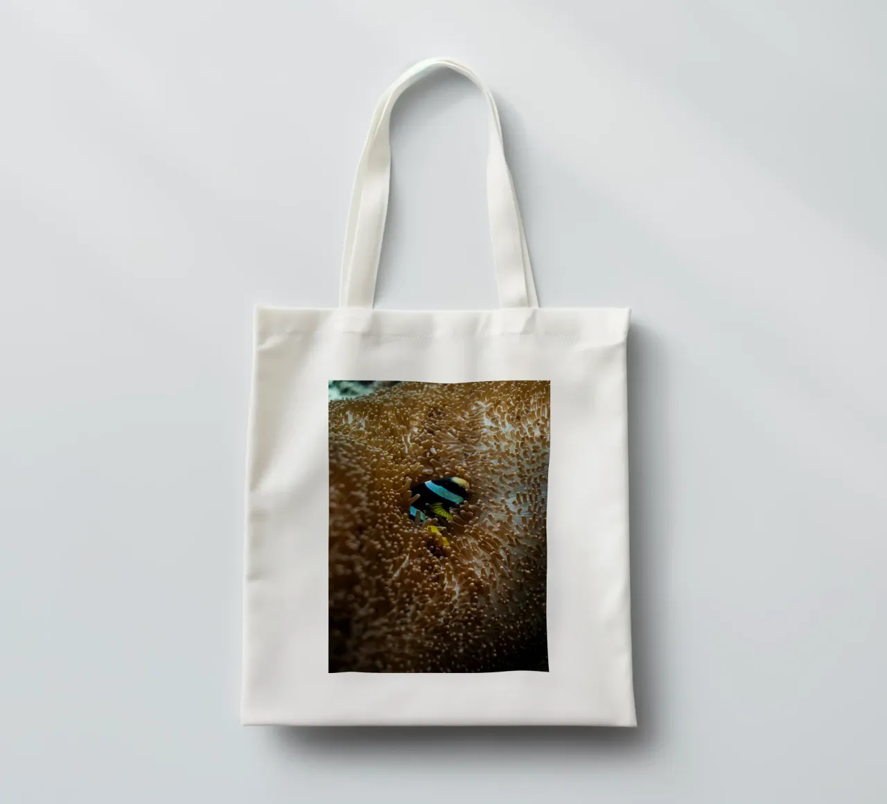fish lying in the sea borsa in juta da juli