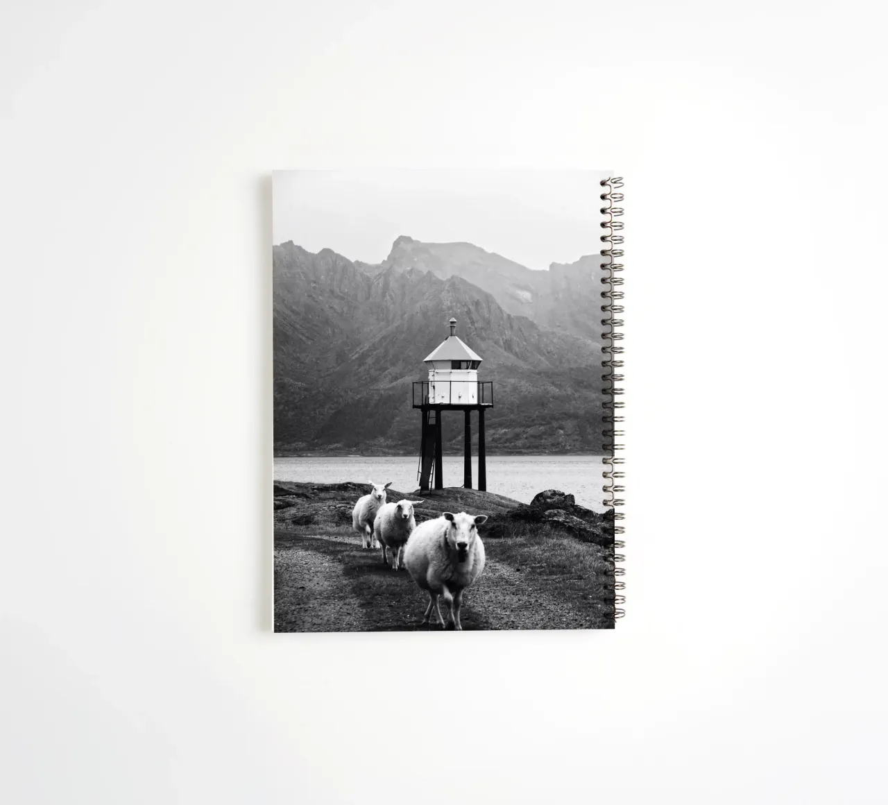 Three sheep on the Lofoten Islands spiral notebook by Fjöllart