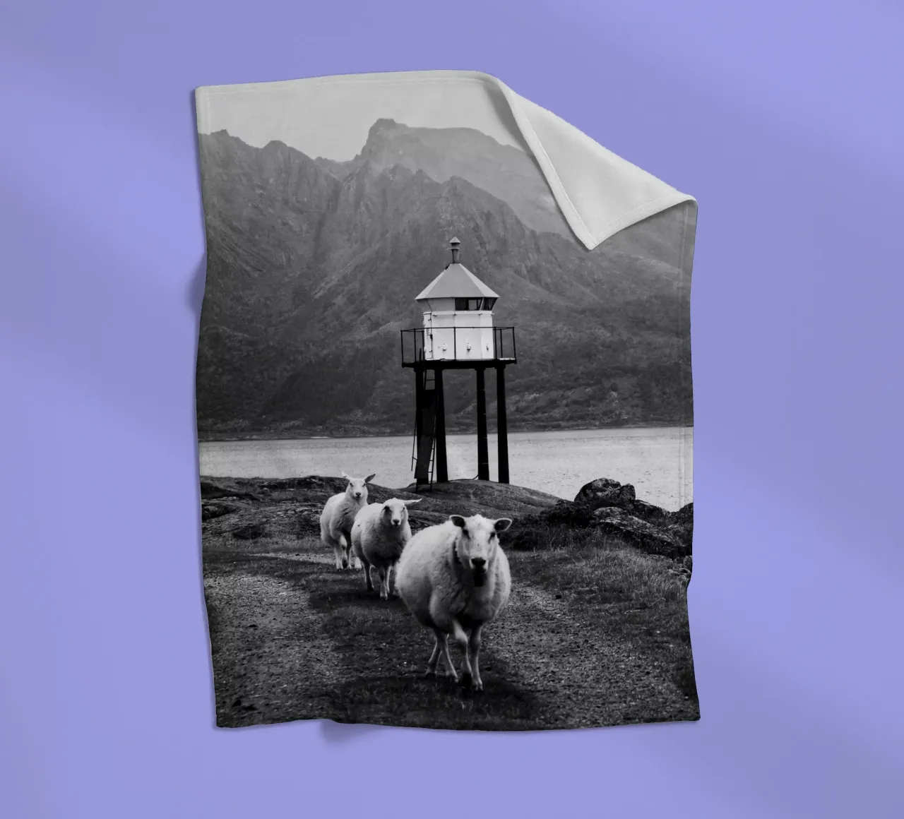 Three sheep on the Lofoten Islands coperta in pile da Fjöllart