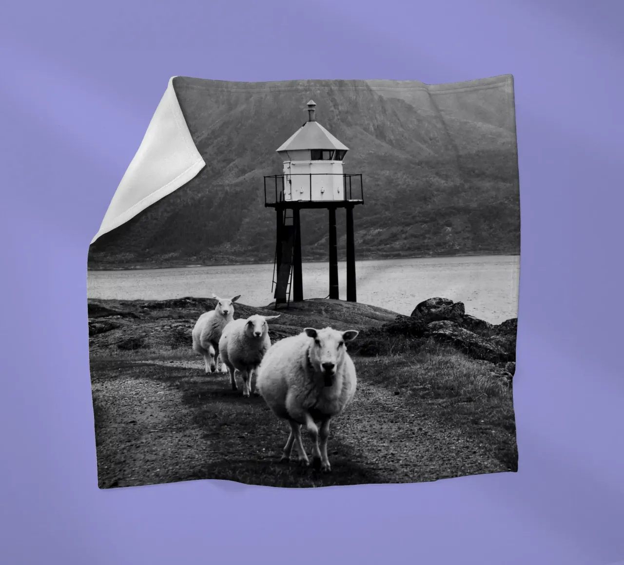 Three sheep on the Lofoten Islands coperta in pile da Fjöllart