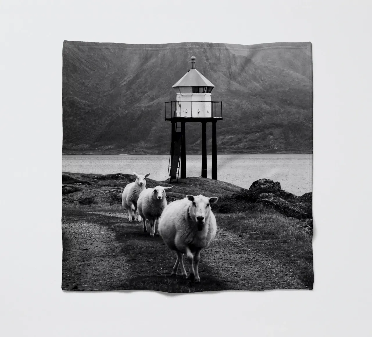 Three sheep on the Lofoten Islands coperta in pile da Fjöllart