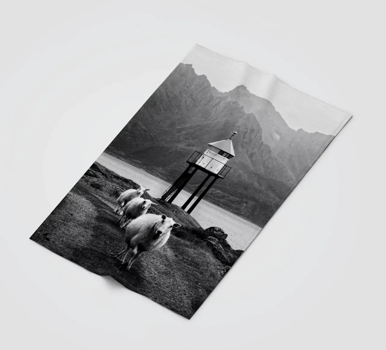 Three sheep on the Lofoten Islands coperta in pile da Fjöllart