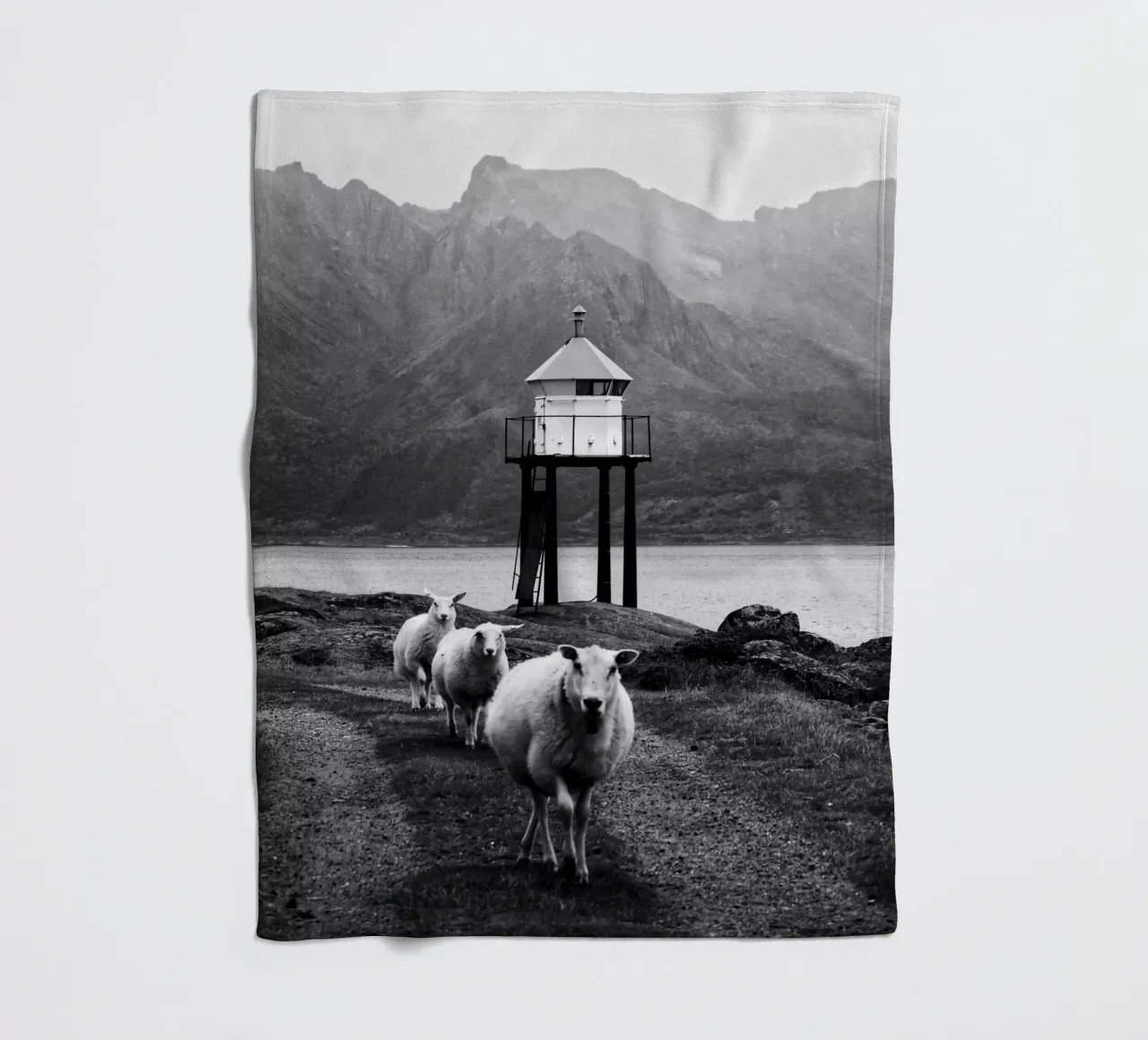 Three sheep on the Lofoten Islands coperta in pile da Fjöllart
