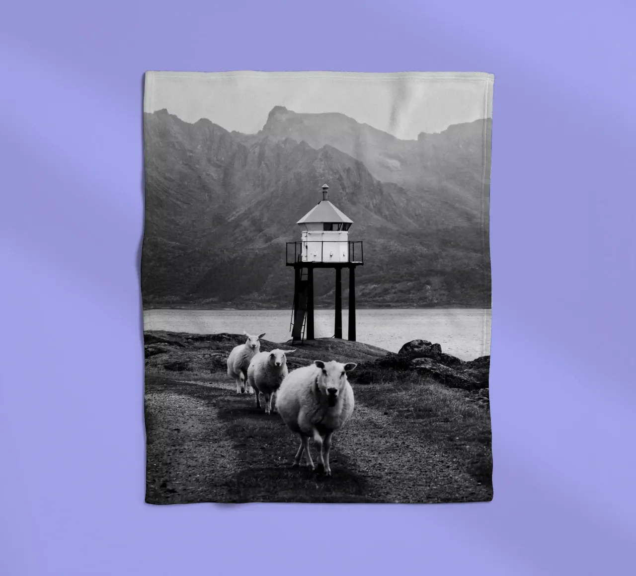 Three sheep on the Lofoten Islands coperta in pile da Fjöllart