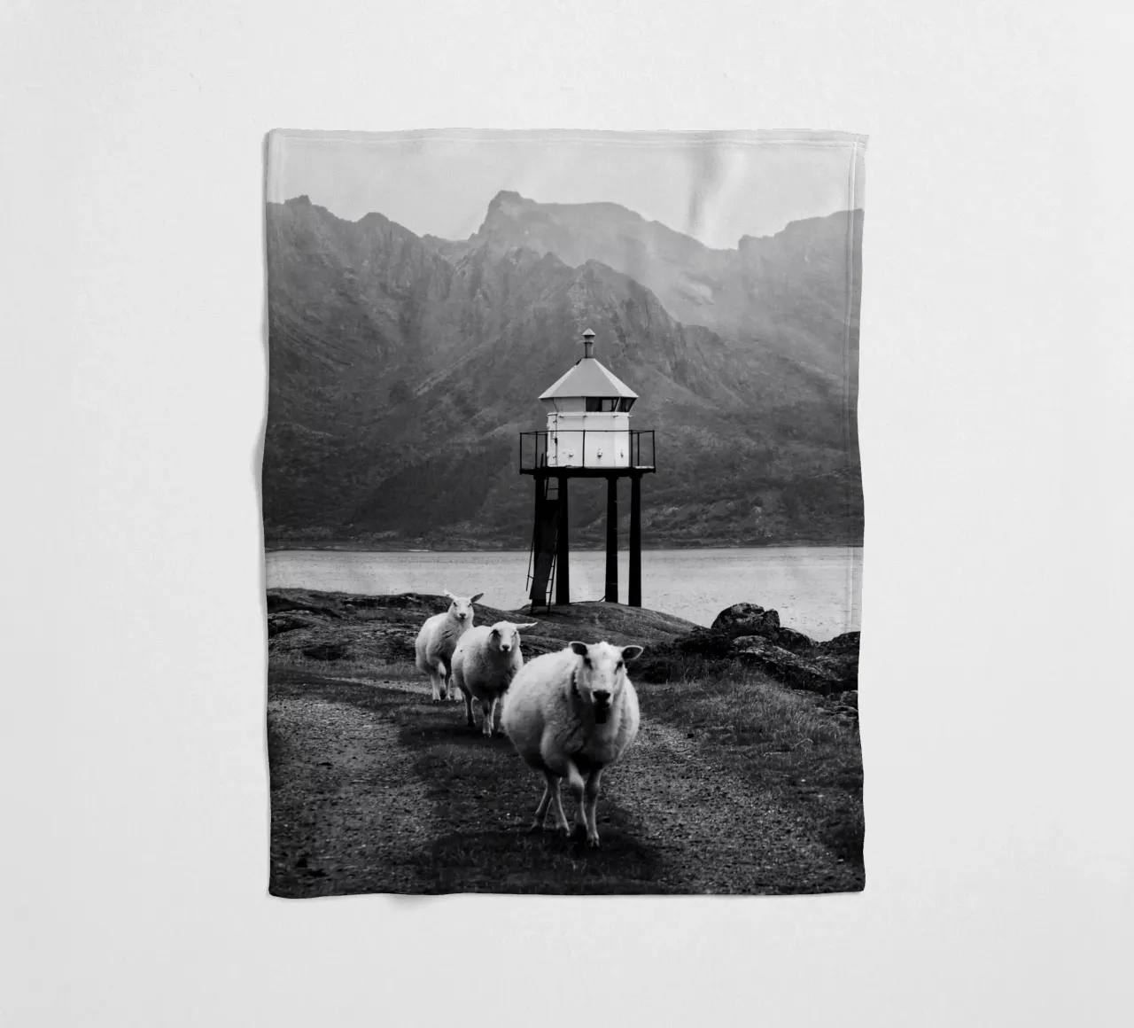 Three sheep on the Lofoten Islands coperta in pile da Fjöllart