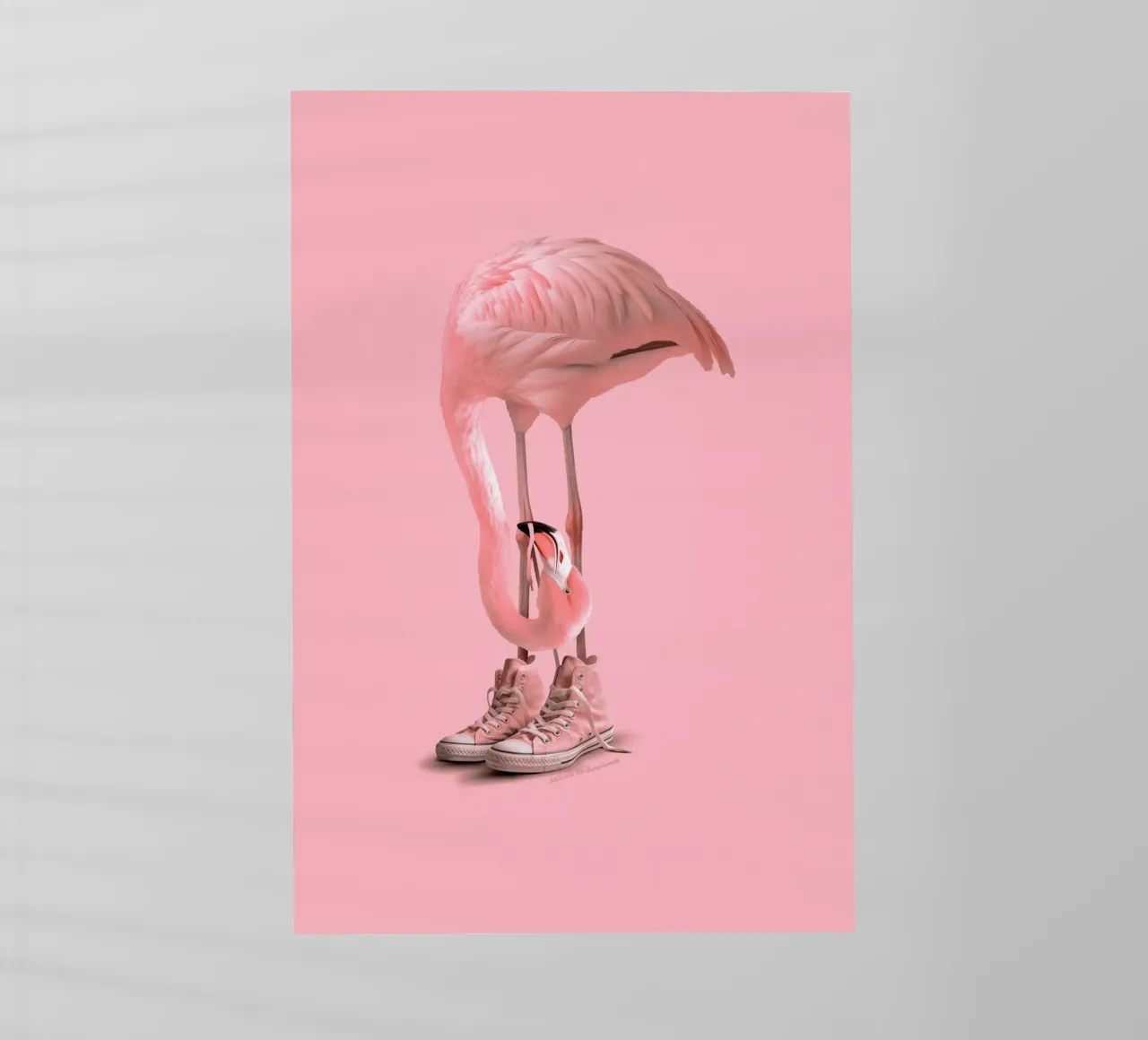 Sneaker Flamingo 2.0 pellicola backlit da Jonas Loose
