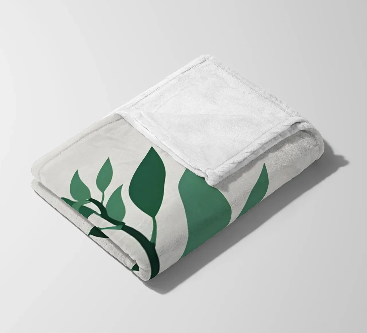 Pianta di giada coperta in pile da Botanical Gallery